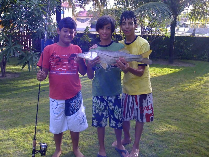 Imagem