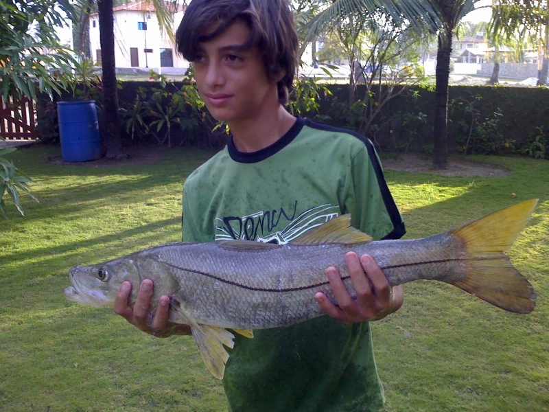 Imagem