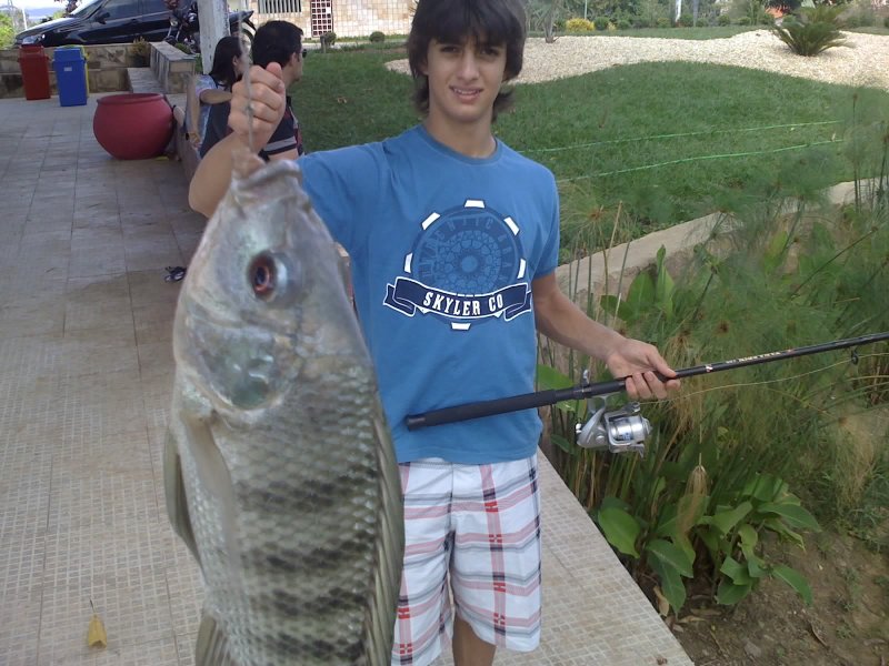 Imagem