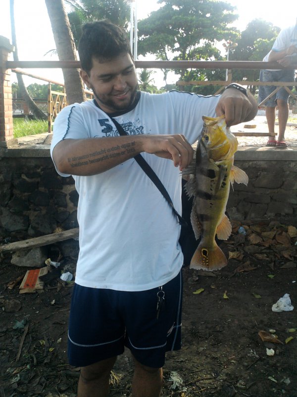 Imagem