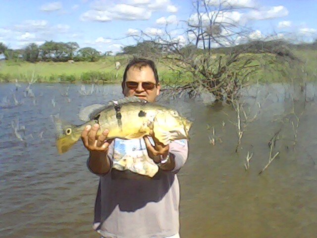 Imagem
