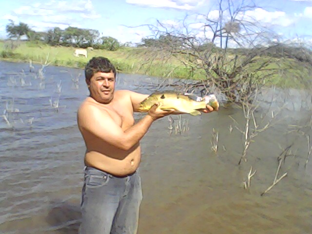 Imagem