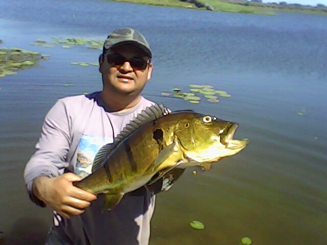 Imagem