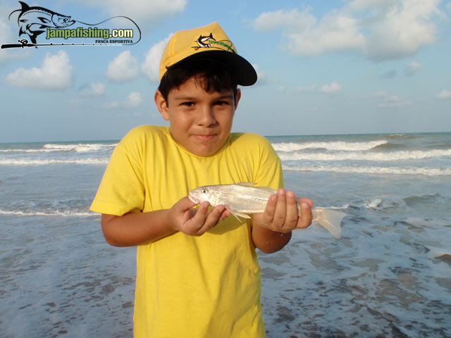 Imagem
