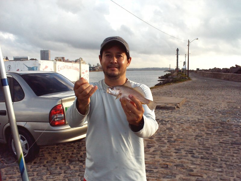 Imagem