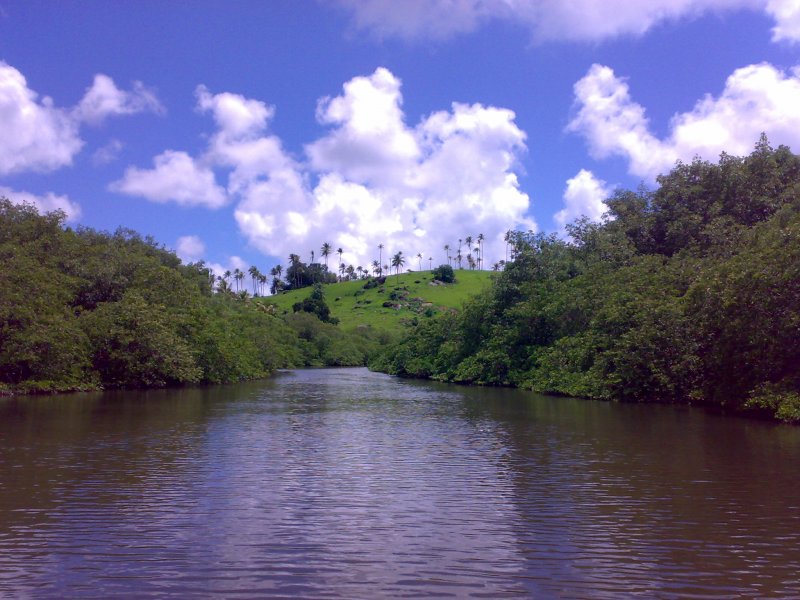 Imagem