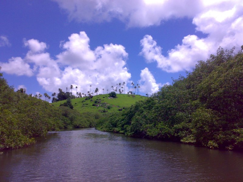 Imagem